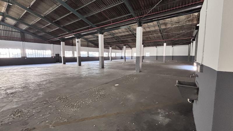 To Let Commercial Property for Rent in Montague Gardens Western Cape